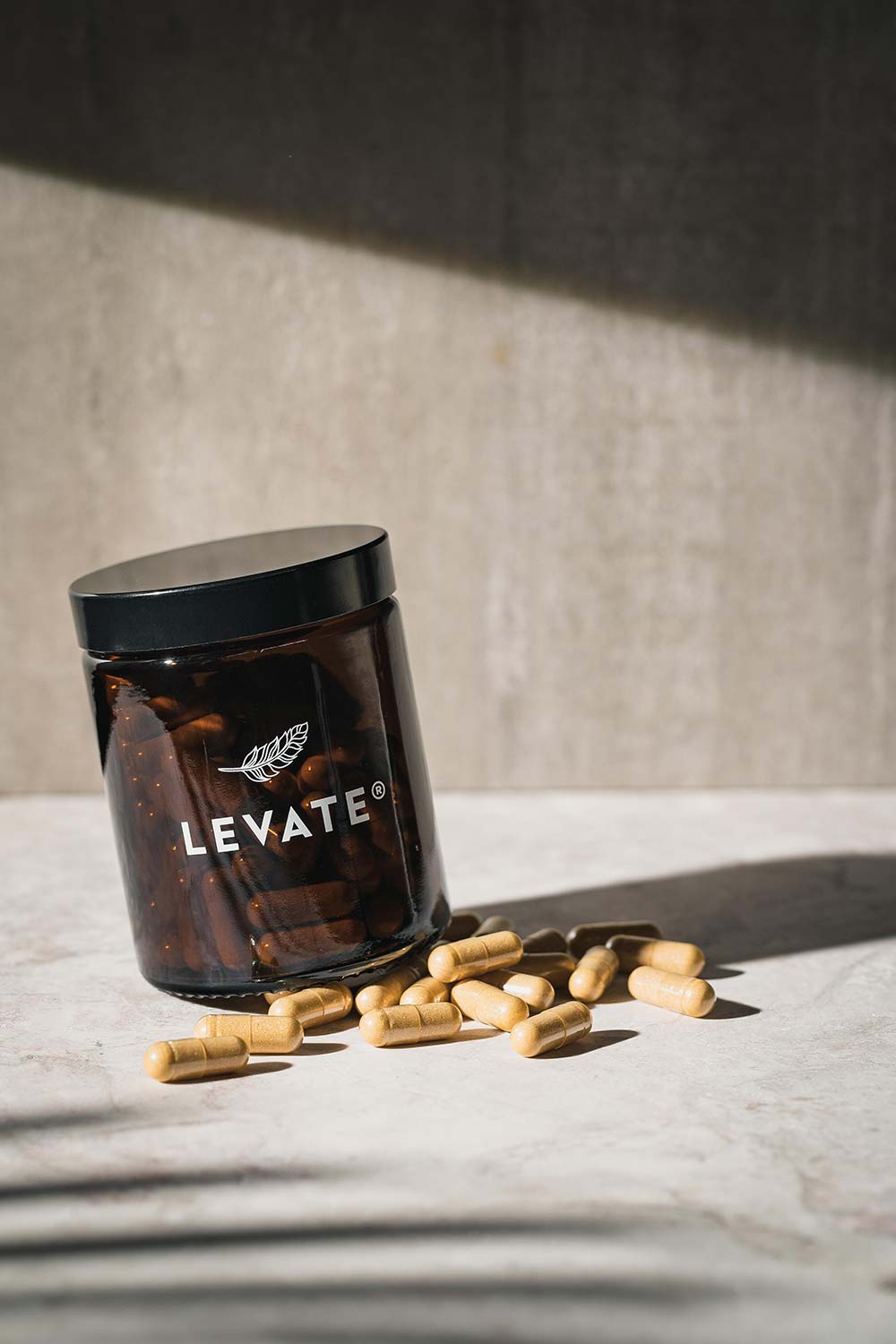 Renew 2.0 | Vegane Anti-Stress-Formel